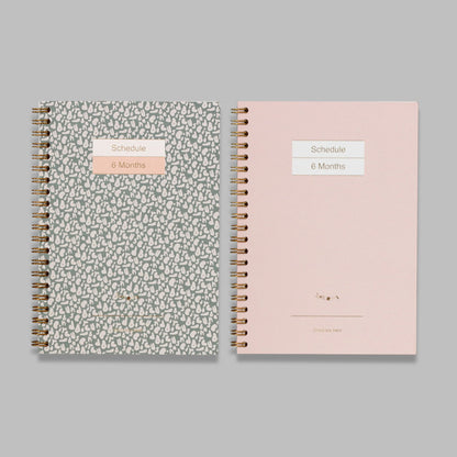 Scheduler - 6 Months Scheduler