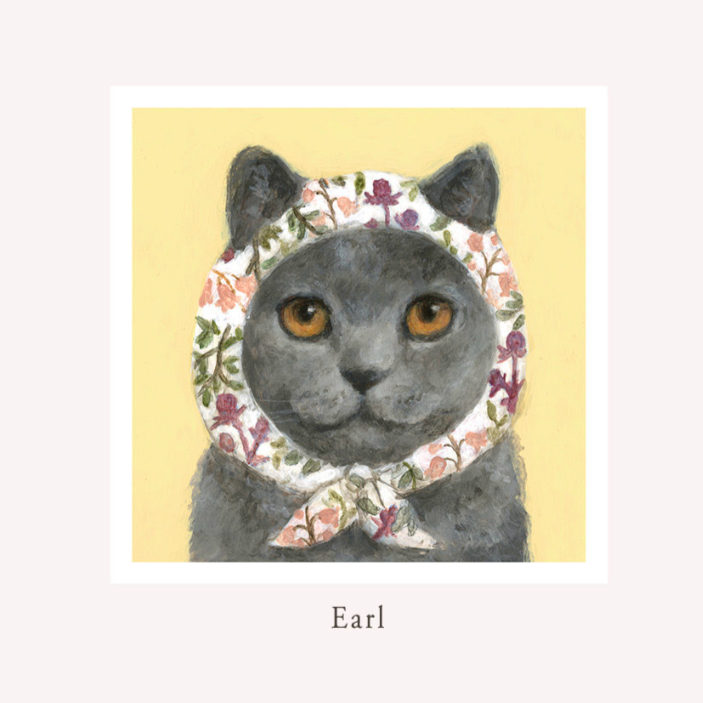 greeting card, cat