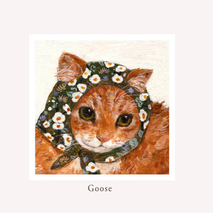 greeting card, cat