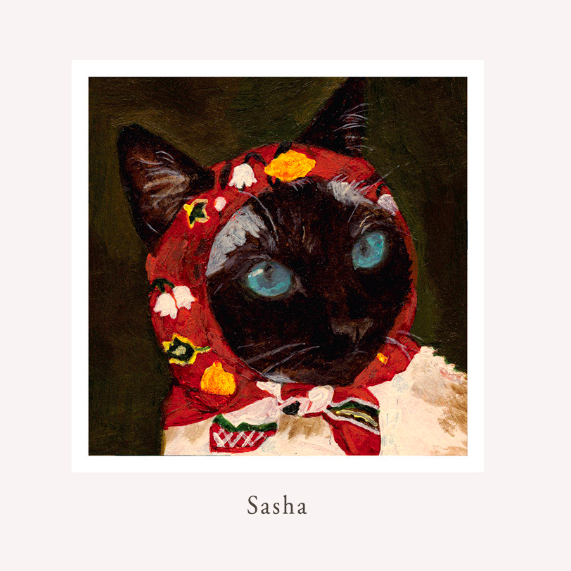 greeting card, cat