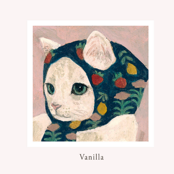 greeting card, cat