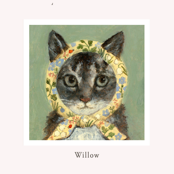 greeting card, cat